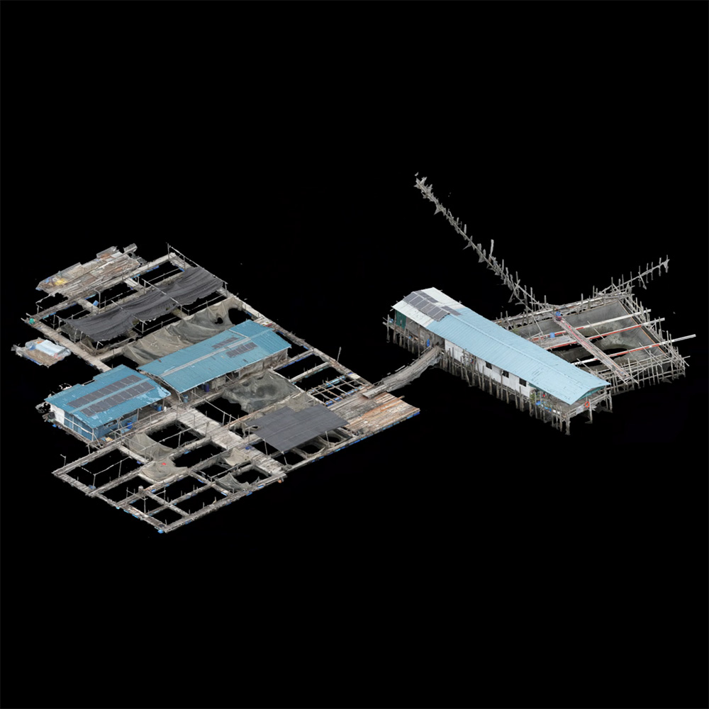 3D Model Perspective