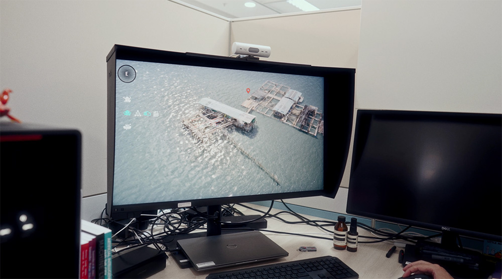 Inspecting the 3D assets.