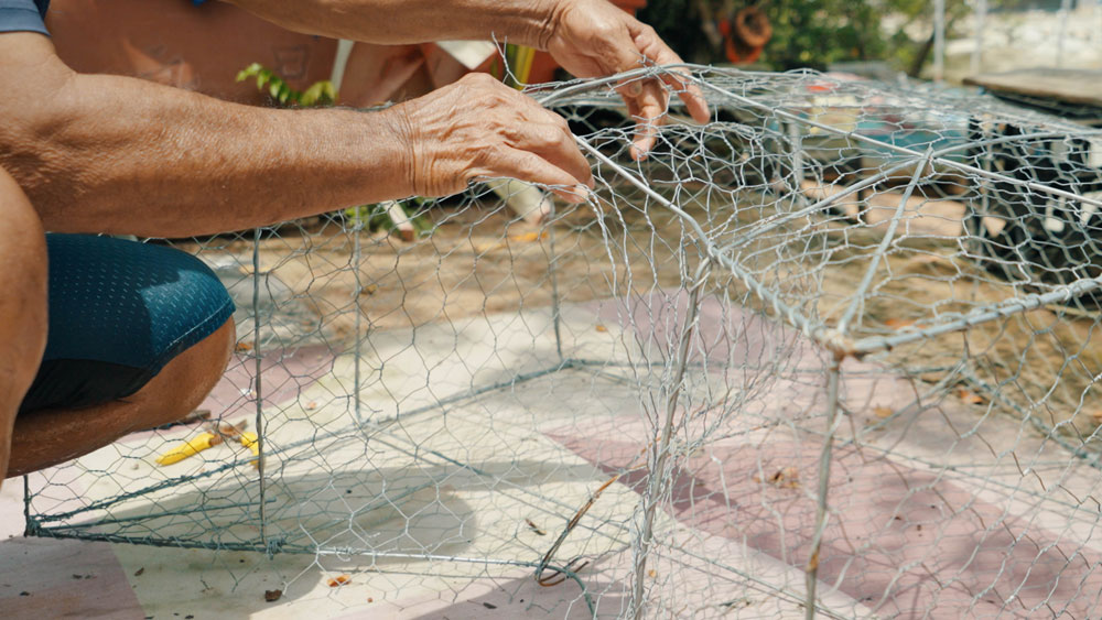 Sustainable Fishing: Bubu as a Reflection of Ecological Knowledge