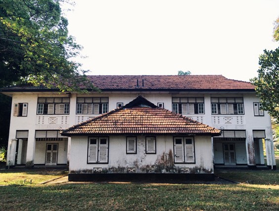 Black and White Houses in Seletar