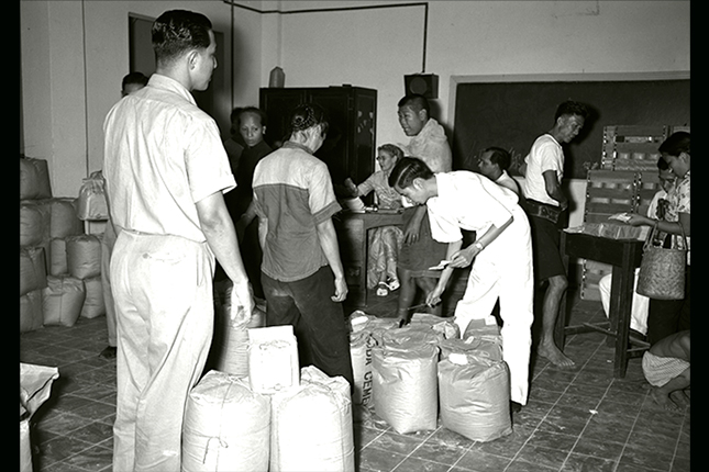 Volunteers assisting the Social Welfare Development to distribute food to the needy. (1954).