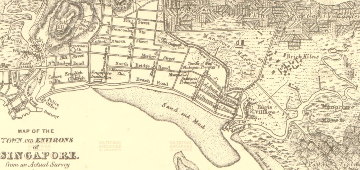 Map of the Town and Environs of Singapore from an Actual Survey by G.D. Coleman