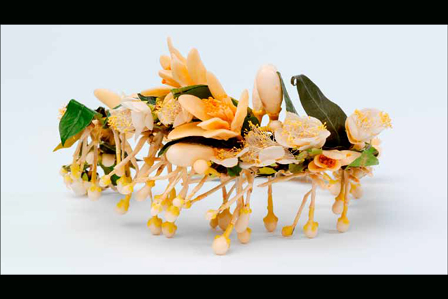 card-img-top