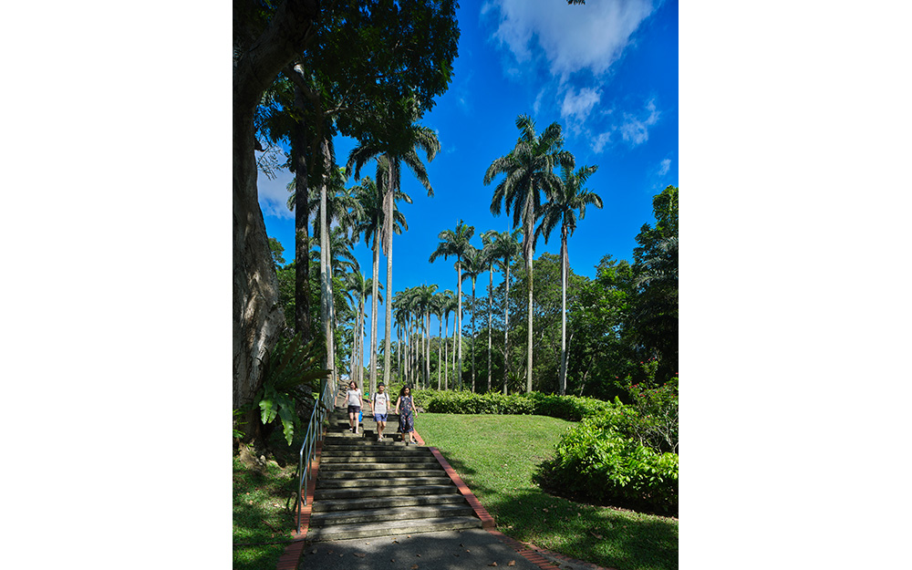 Completed in 1983, Ang Mo Kio Town Garden West was the largest town garden project by Housing & Development Board during its time. The 21-hectare garden, which cost approximately $2.7 million to construct, was designed by a Japanese company, Obayashi Gumi.