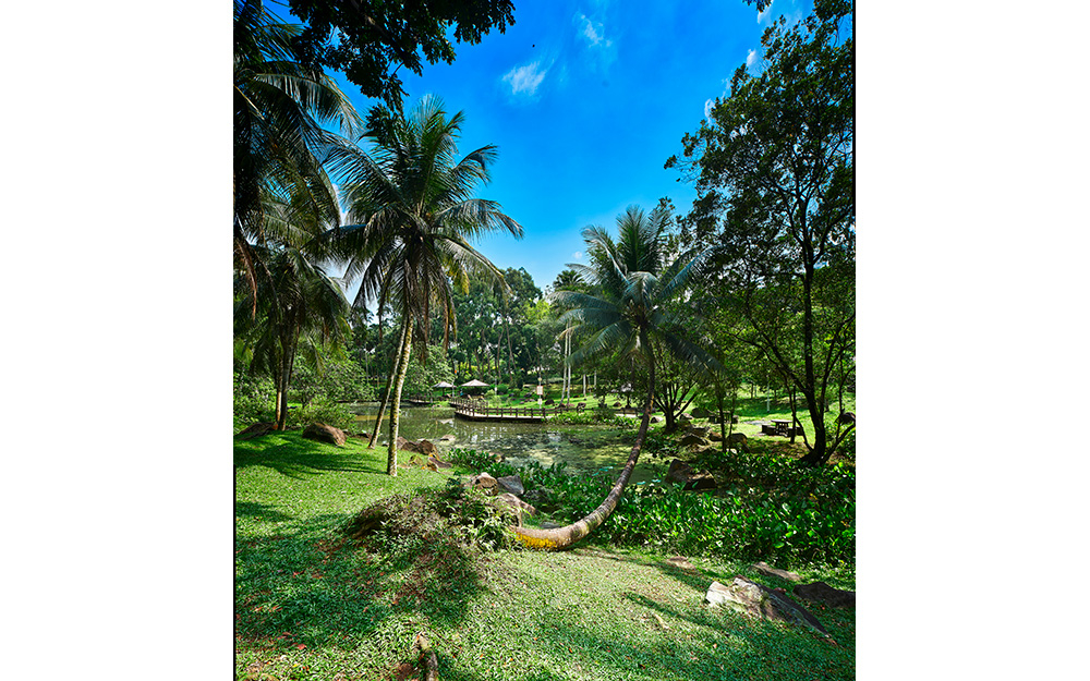 Originally called Bishan Park when it was constructed in 1986, the park was built around the Kallang River and incorporated the surrounding forests. Between 2009 and 2011, the park underwent extensive renovations and multiple ponds were built along the river.