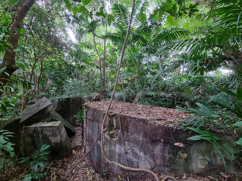 Ruins of Gun Emplacement No. 3, 2023. Image courtesy of Sentosa Development Corporation.