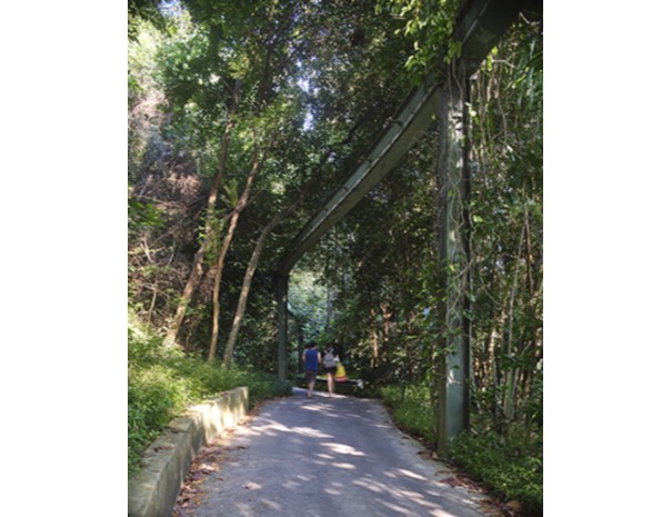 Operating from 1982 to 2005, Sentosa’s monorail was both a transportation system and an attraction in itself. Along its 30-minute route around the island, the monorail afforded elevated views of Sentosa’s natural environment. The section of the monorail route curving around Sentosa’s western tip was said to be one of its most scenic, with views of nearby islands and the forested Mount Imbiah.