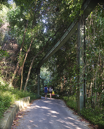 Operating from 1982 to 2005, Sentosa’s monorail was both a transportation system and an attraction in itself. Along its 30-minute route around the island, the monorail afforded elevated views of Sentosa’s natural environment. The section of the monorail route curving around Sentosa’s western tip was said to be one of its most scenic, with views of nearby islands and the forested Mount Imbiah.