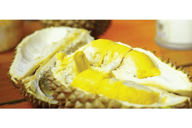 Durians on Geylang Serai Food Trail