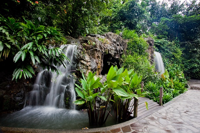 Singapore Botanic Gardens