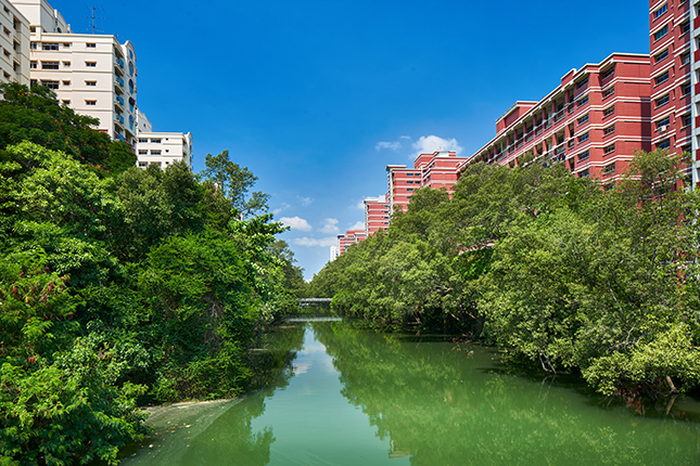 Green corridor along Sungei Api Api