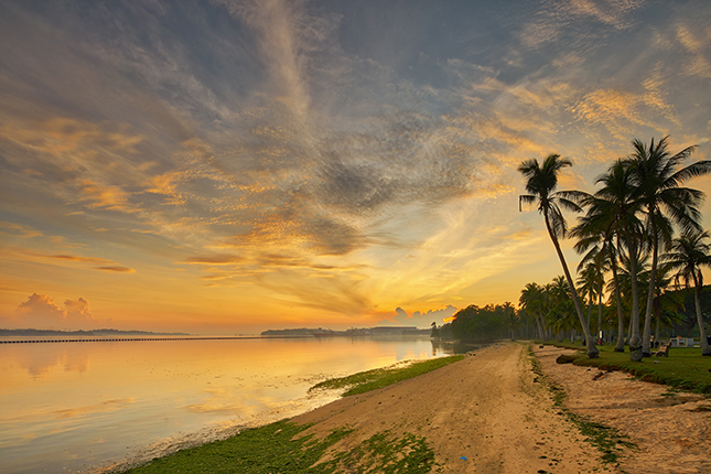 Between the 1950s and 1970s, Pasir Ris Beach was a popular seaside resort for recreational activities such as water skiing. 