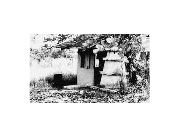 The German Girl Shrine honours the memory of a German girl who lived with her family on Pulau Ubin at the outbreak of World War I.