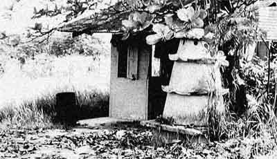 The German Girl Shrine honours the memory of a German girl who lived with her family on Pulau Ubin at the outbreak of World War I.