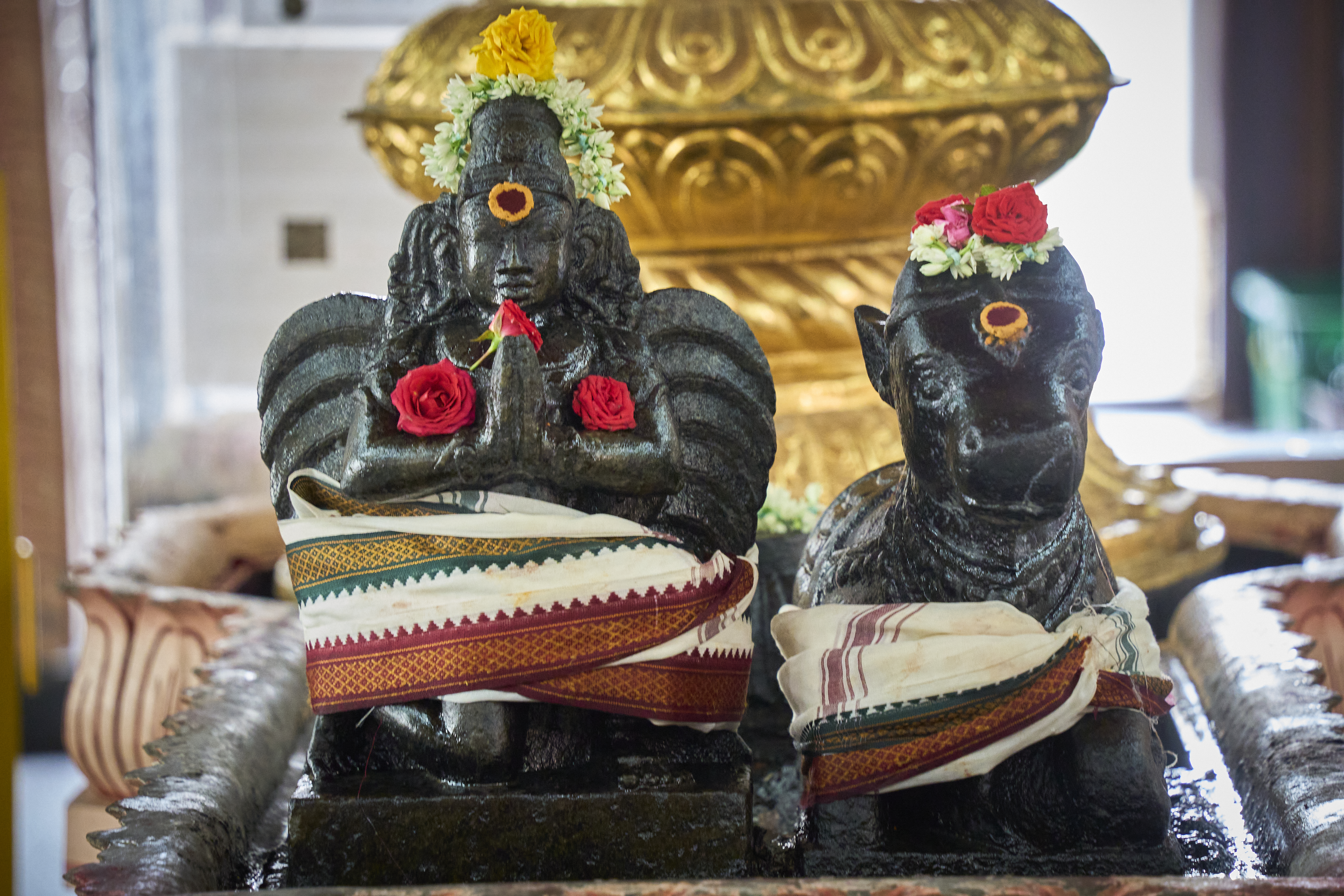 Completed in 1996, Sri Siva-Krishna Temple was originally established in Sembawang in 1962. It is the only temple in Singapore dedicated to Lord Siva-Krishna, a unique deity that is a combination of Lord Siva and Lord Krishna. 