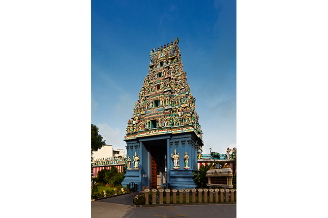 Sri Srinivasa Perumal Temple