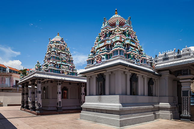 Sri Srinivasa Perumal Temple