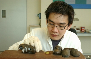 Conservators from Heritage Conservation Centre