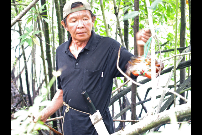 Mr Quek Kim Kiang_Crab Catcher