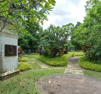 Ridout Tea Garden