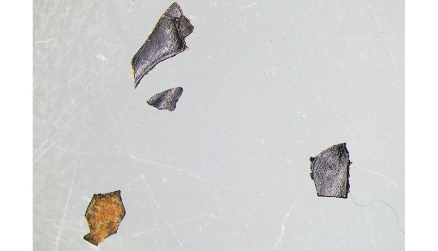 Loose pieces of fragments, taken from the chart case for microanalysis