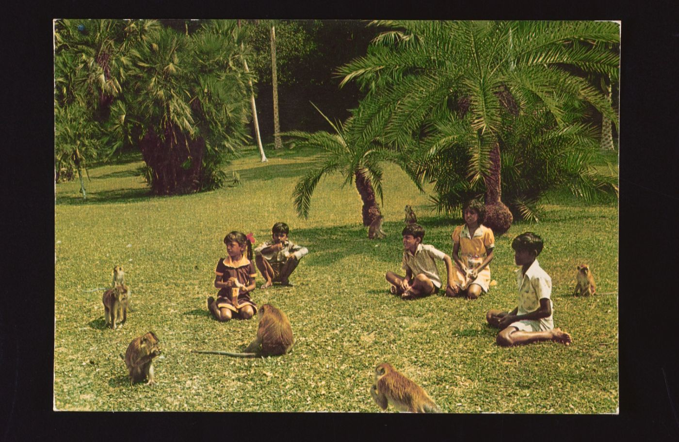 kids and monkeys at botanic
