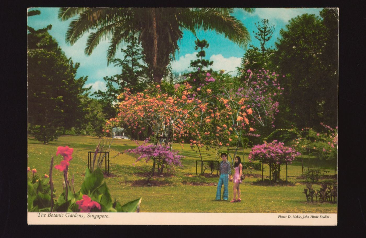 couple at botanic