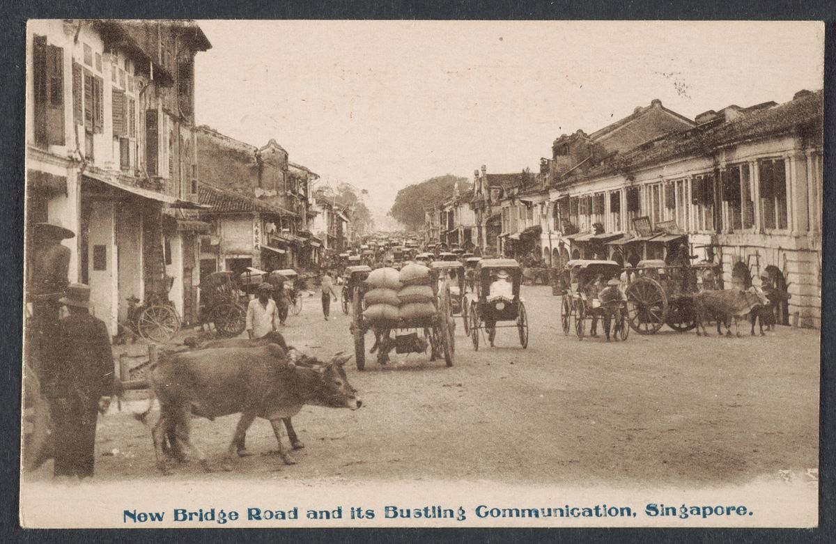 Bullock Carts