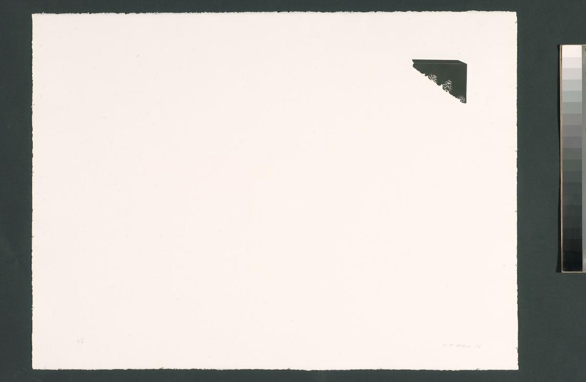 card-img-top