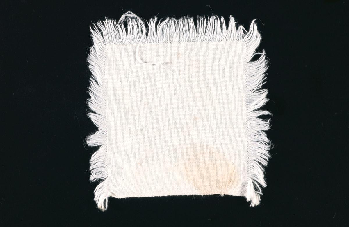 card-img-top