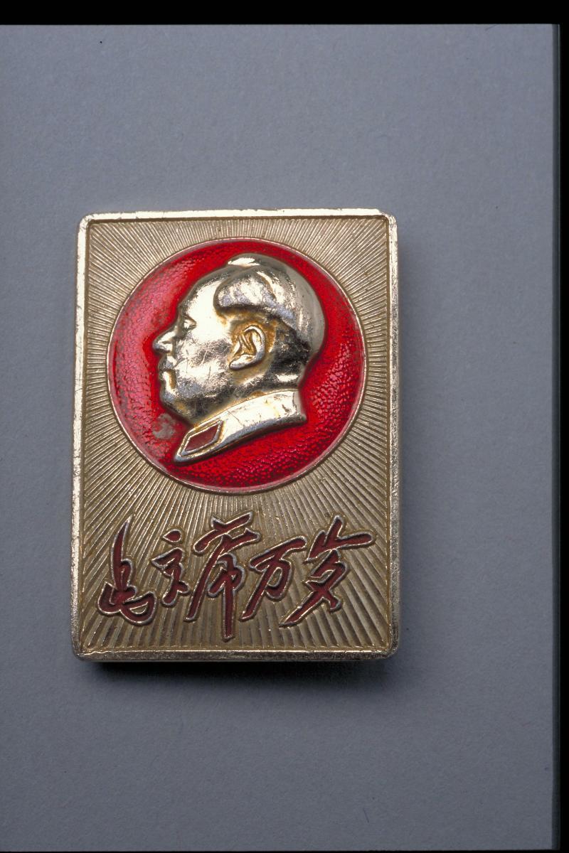 card-img-top