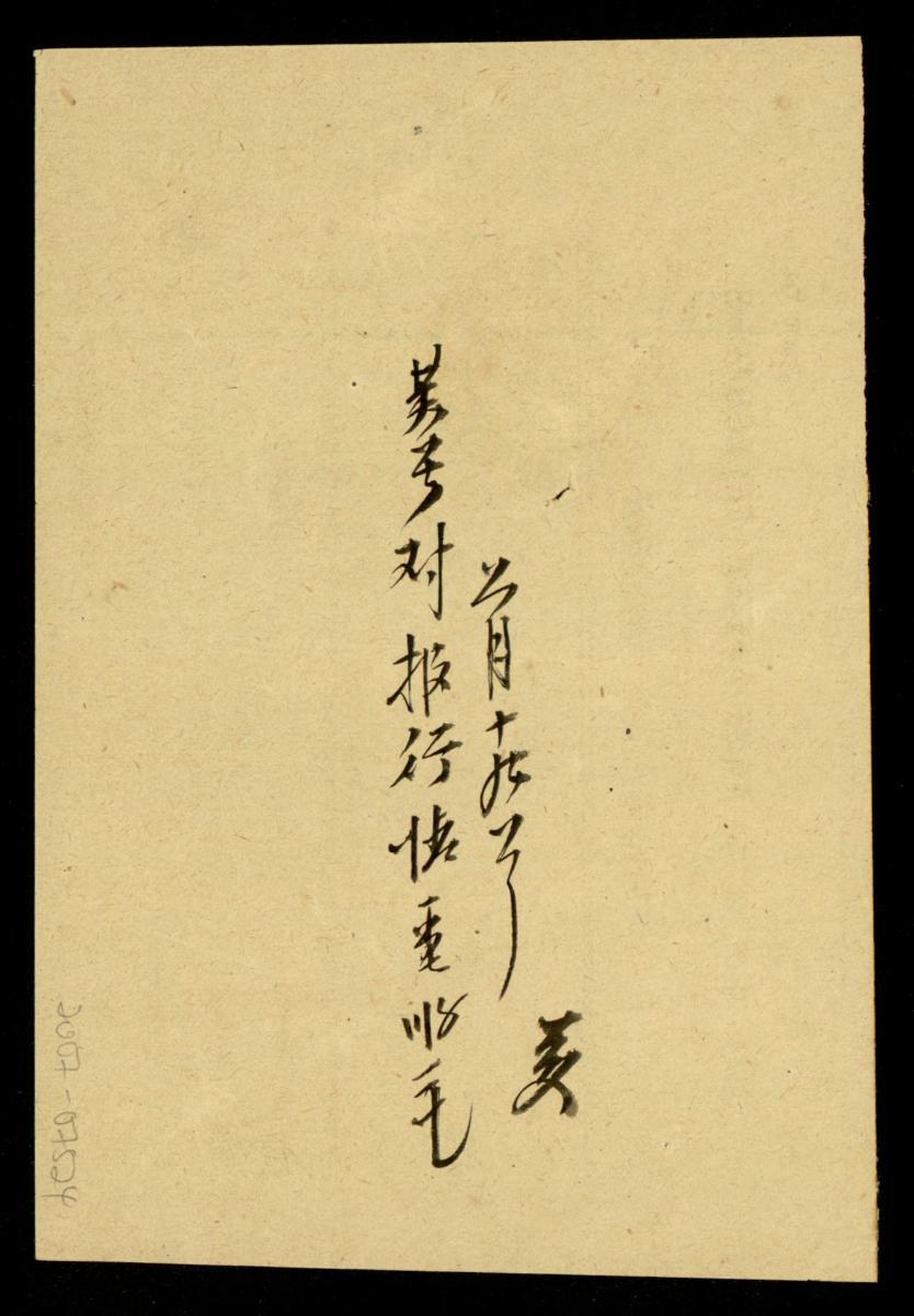 card-img-top