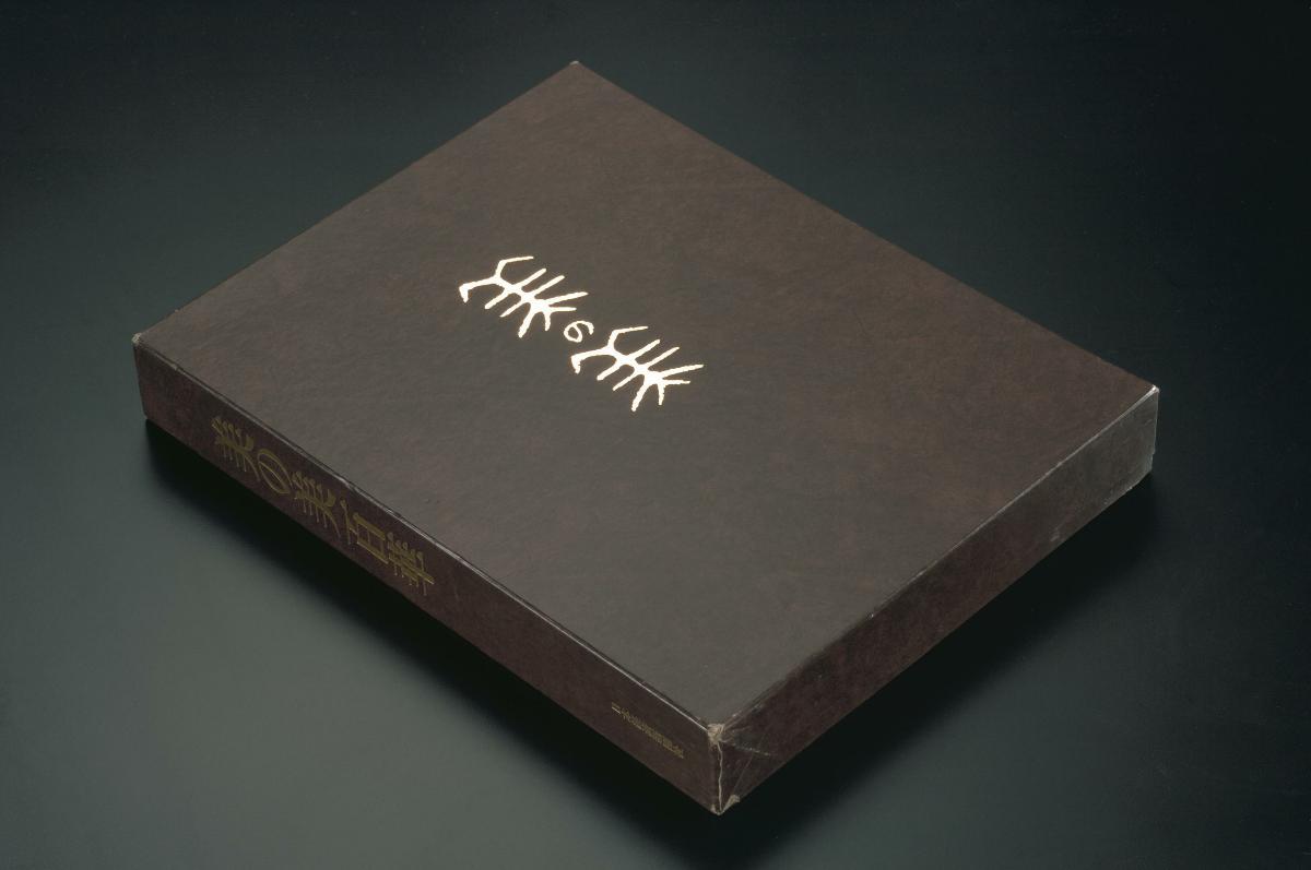 card-img-top
