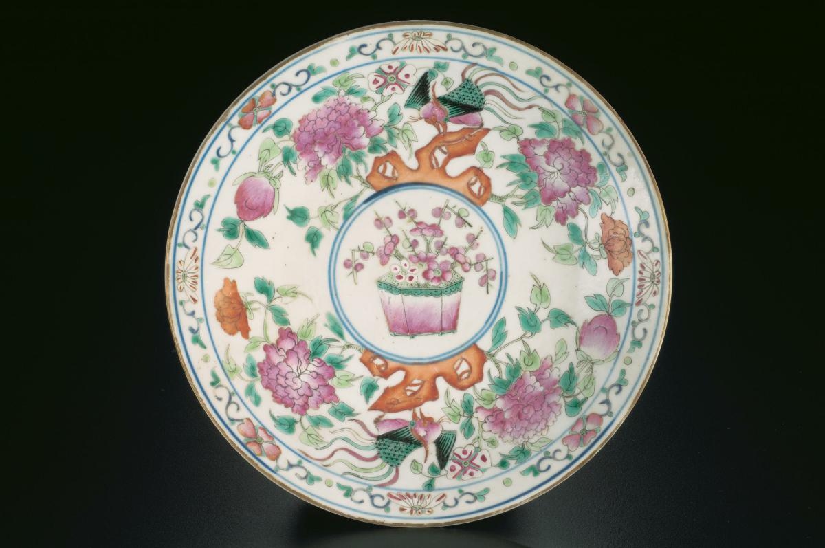 Dish