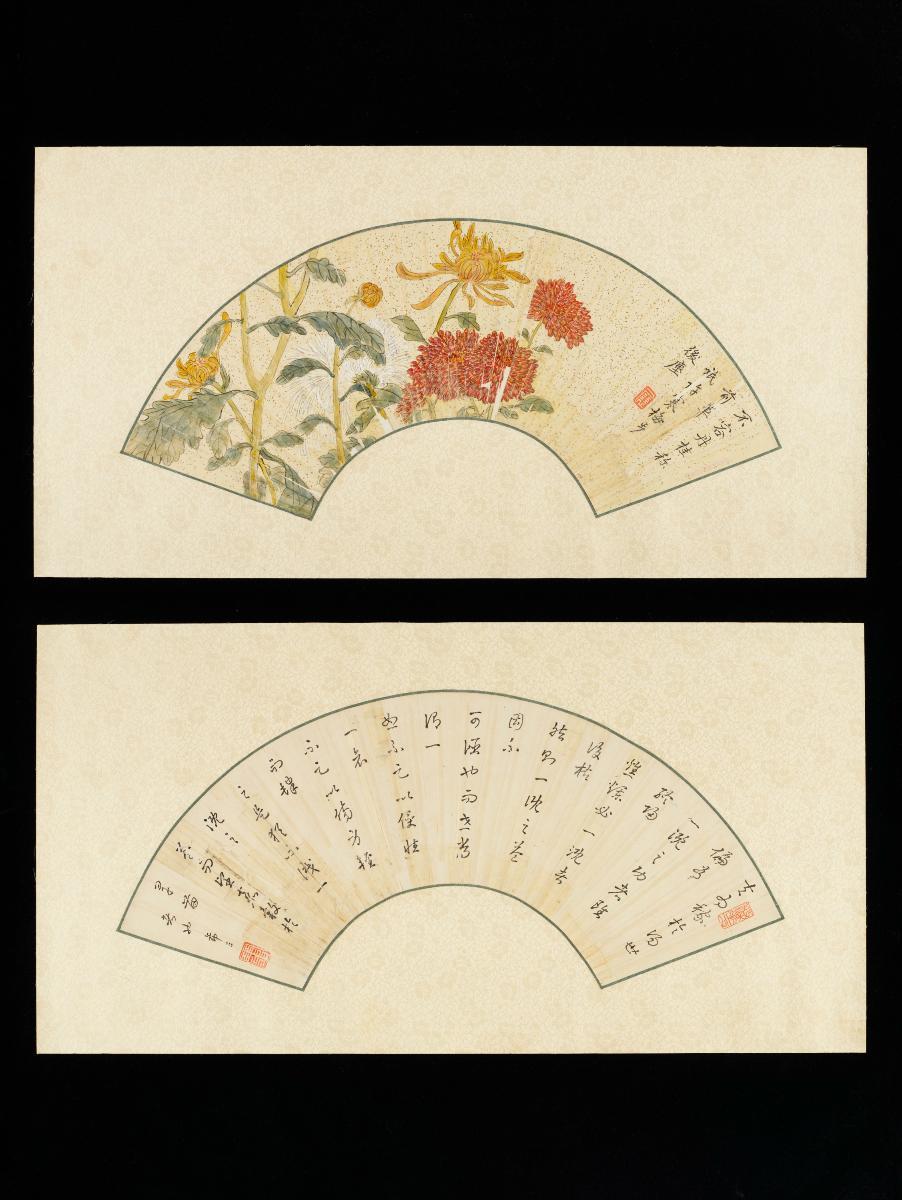 card-img-top