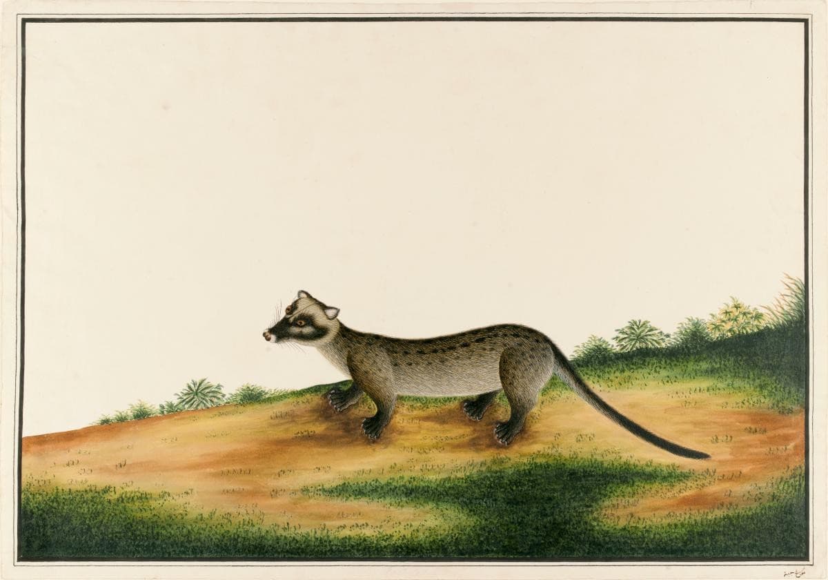 1080886