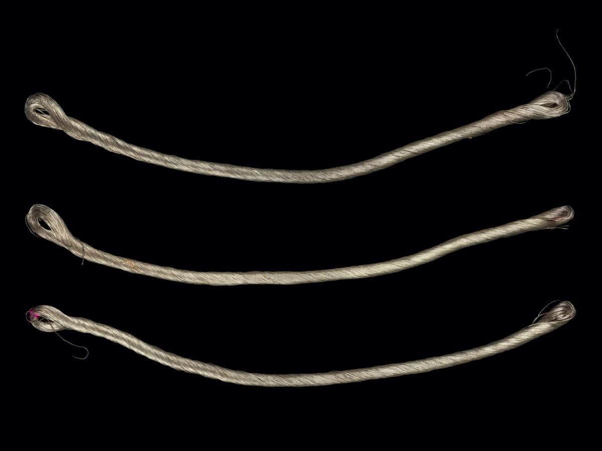 1566838