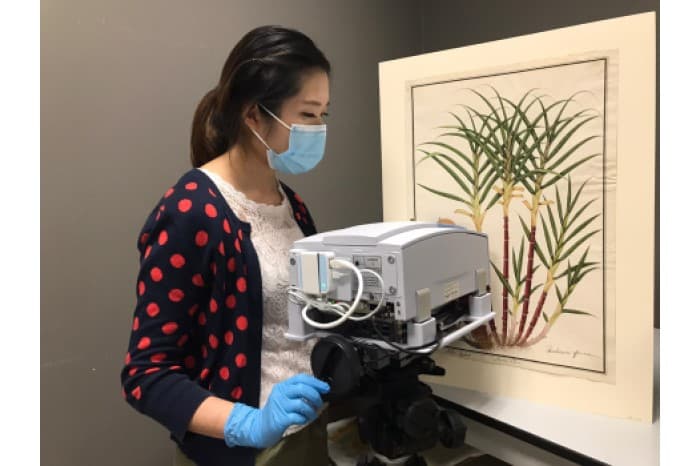 Lynn working on William Farquhar Painting NMS