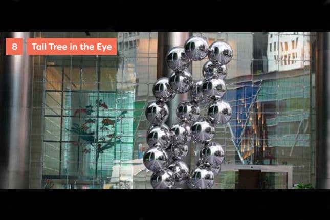 Tall Tree in the Eye