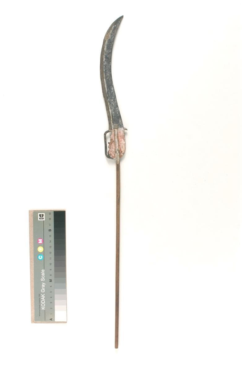 1074564