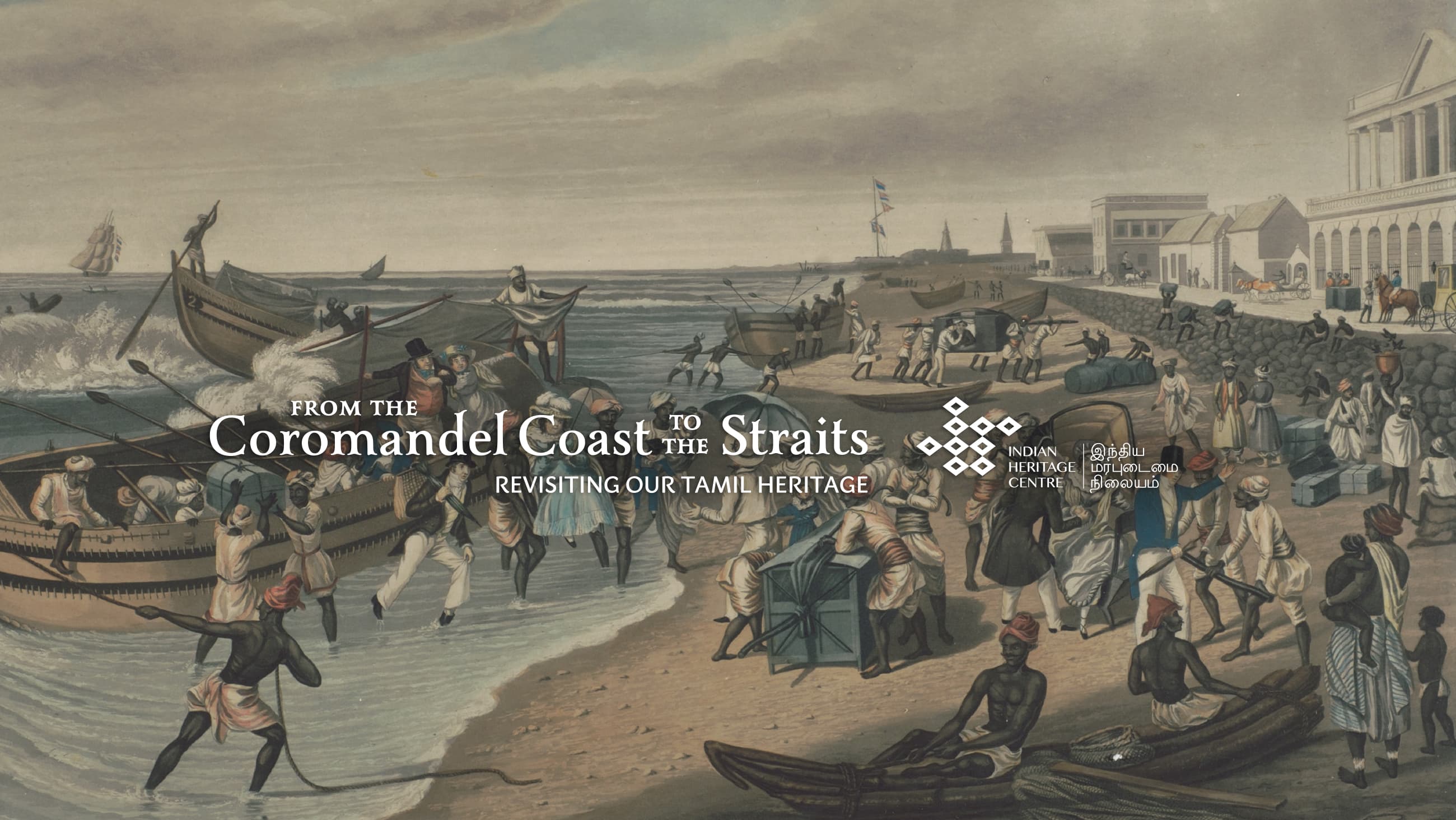 coromandel sample 02b