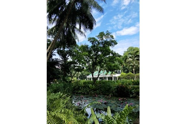 Istana Park