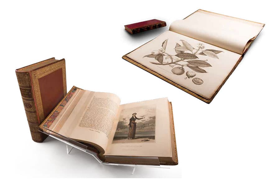 <strong><a href="/stories-landing/stories/the-singapore-story-through-60-objects/networks-through-time/the-history-of-java/story"><strong>The History of Java, first edition [two volumes], Thomas Stamford Raffles, London, 1817.</strong><br>
John Bastin Collection, National Library, Singapore.</a></strong>