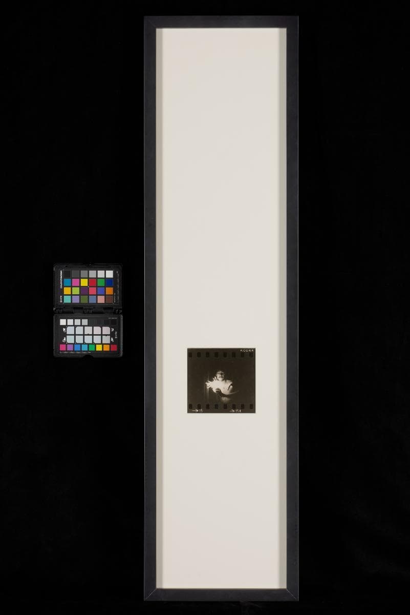 1350661
