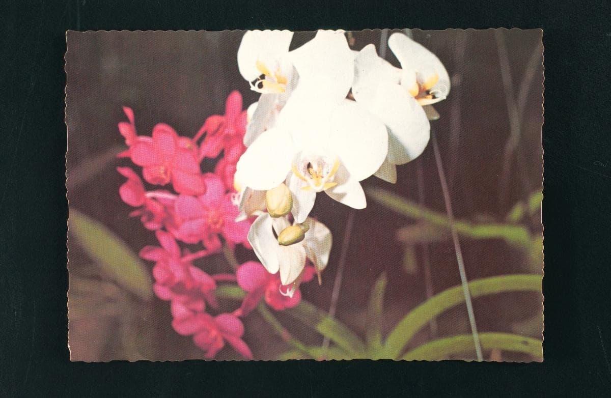 1176057