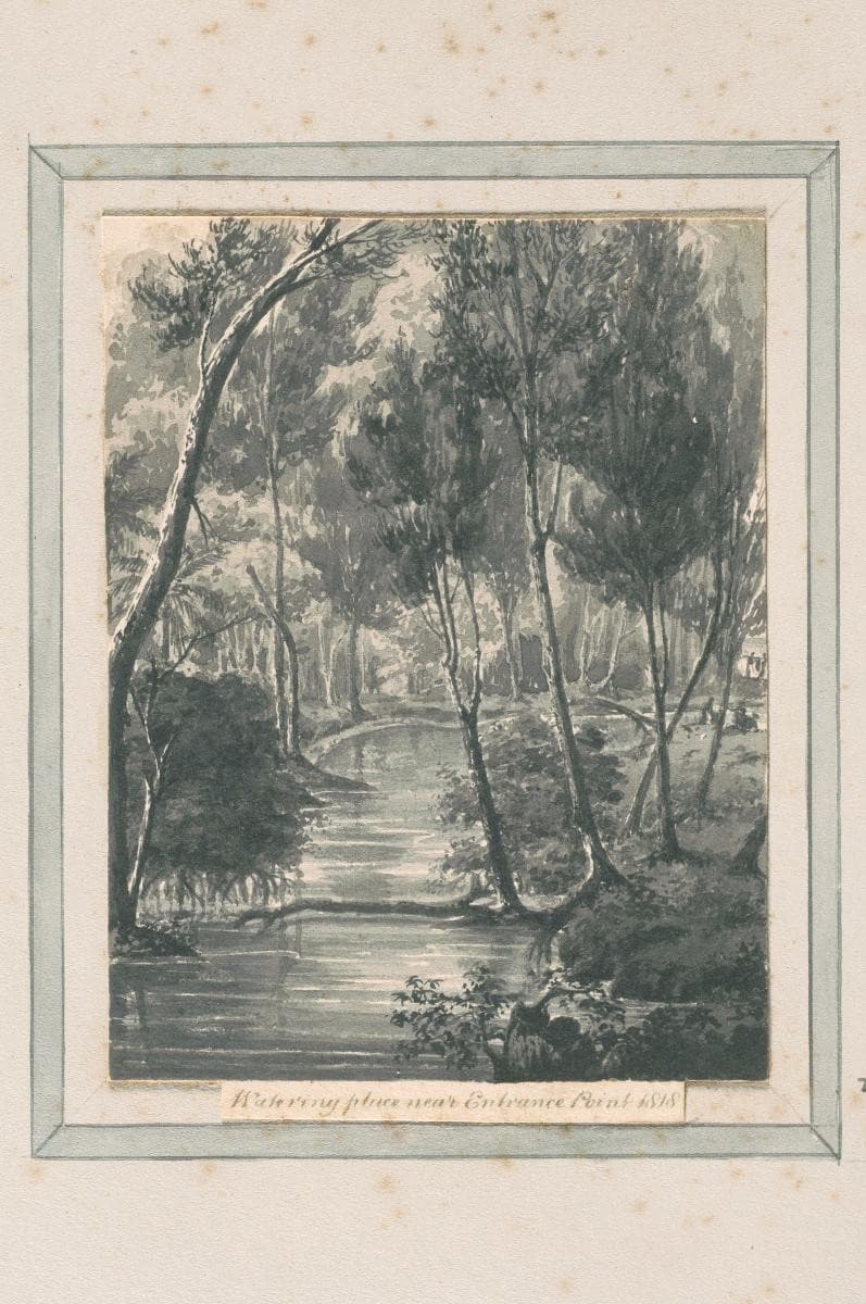 1261876
