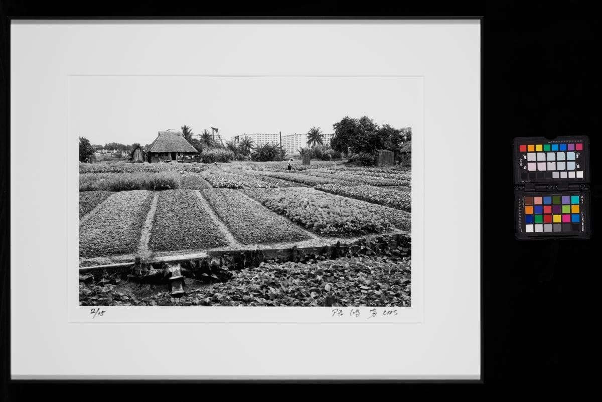 1343300