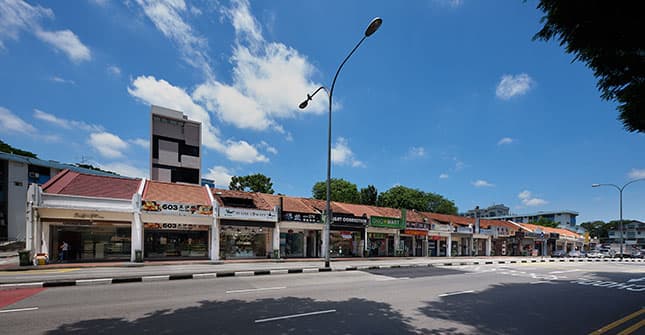 Single-storey Terraced Units
