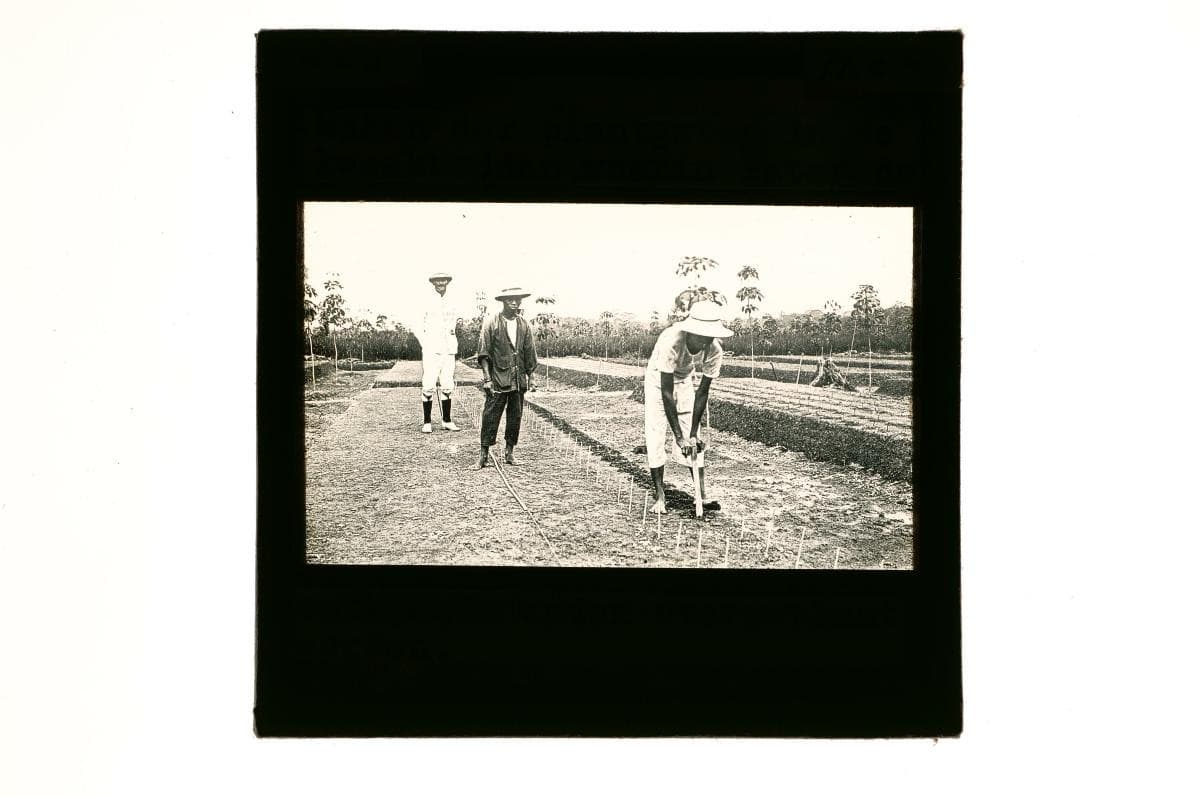 1219189