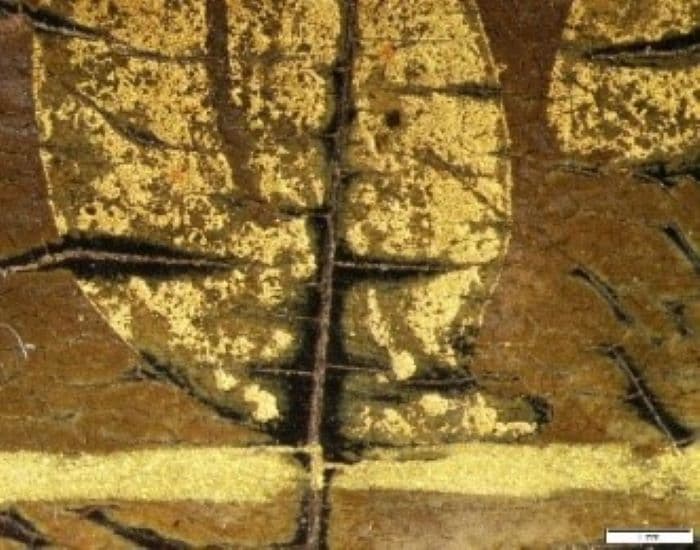 Poster - Examination of lacquer layers on a 16th-century missal stand